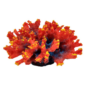 Aussie Branch Coral