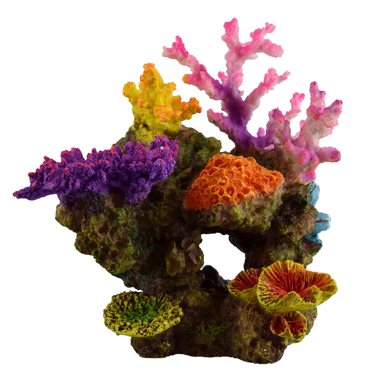 Purple Reef