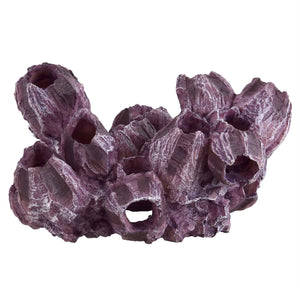 Purple Barnacle Cluster