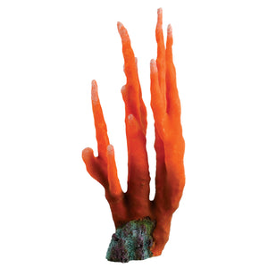 Orange Finger Coral