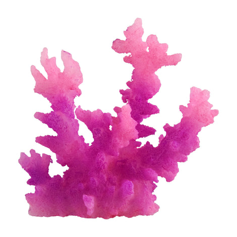 Coral Replicas