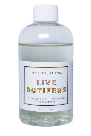 Live Rotifers - 8 oz