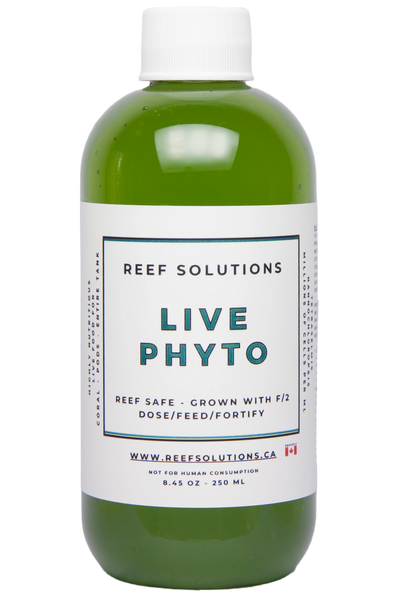 Live Phyto - 8oz