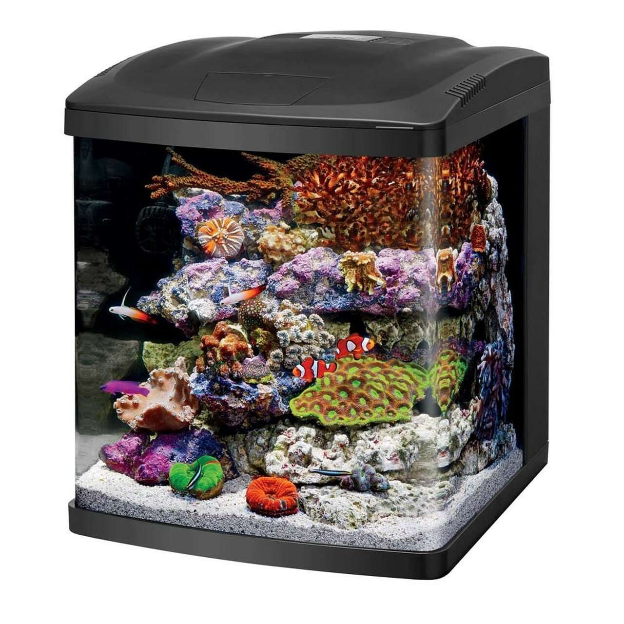 16 Gallon BioCube Aquarium w/LED