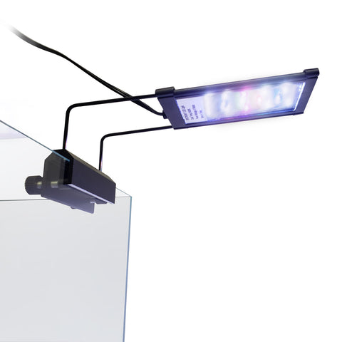 Full Spectrum LED Light
- Lifegard Aquatics